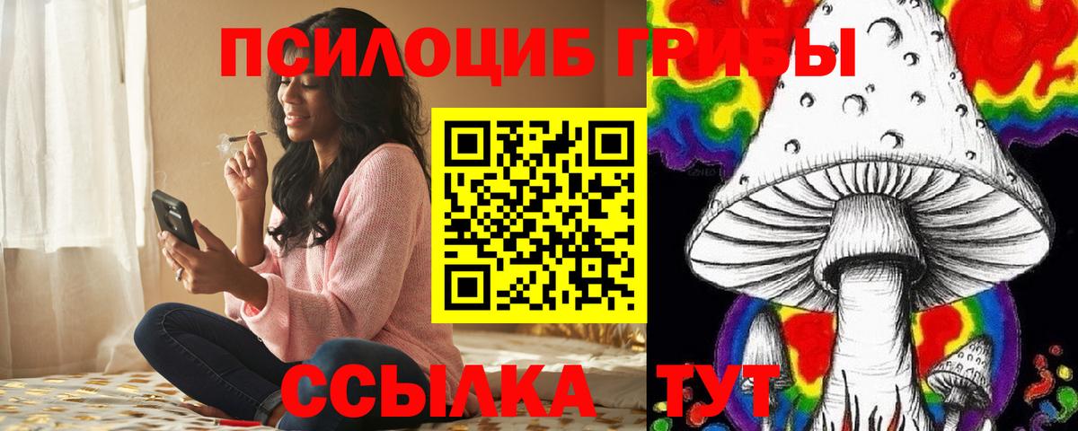 Галлюциногенные грибы Psilocybine cubensis Зима