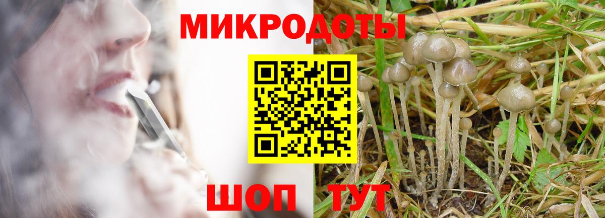 Галлюциногенные грибы мицелий  Псилоцибиновые грибы Psilocybine cubensis  Вход с VPN  Зима 